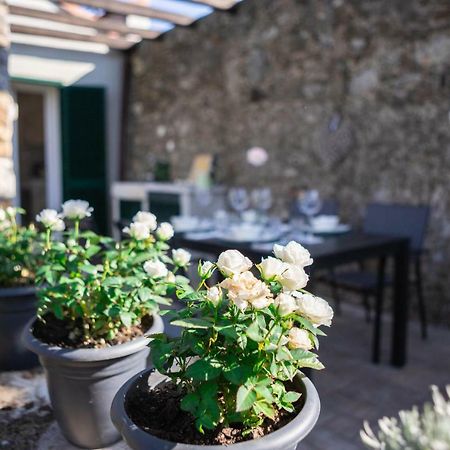 Апартаменти Gardenhouse Сарцана Екстер'єр фото