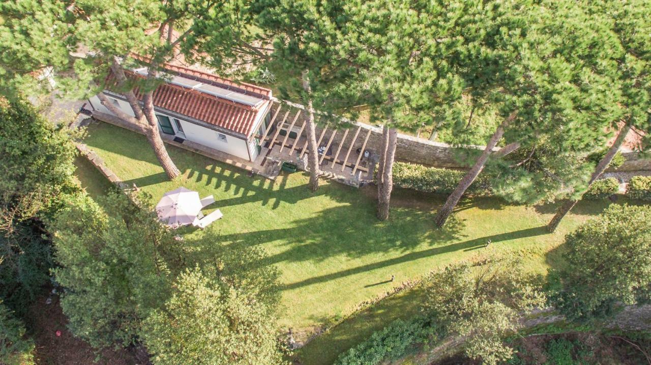 Апартаменти Gardenhouse Сарцана Екстер'єр фото